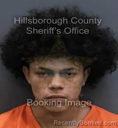 Mugshot of Wullian Alexander Reyes Flores booked in Hillsborough County, Florida on September 19, 2026