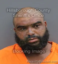 Mugshot of Kavin Duane Jr Holloway booked in Hillsborough County, Florida on September 19, 2026