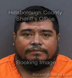 Mugshot of Alejandro Hernandez Gonzalez booked in Hillsborough County, Florida on September 19, 2026