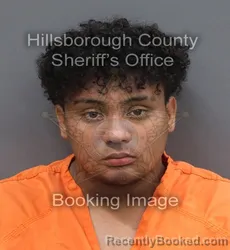 Mugshot of Yorlin Agustin Mendoza Matute booked in Hillsborough County, Florida on September 19, 2026