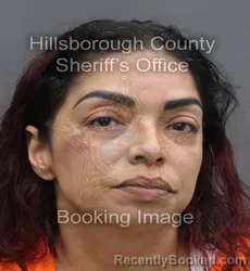 Mugshot of Jesenia Perez booked in Hillsborough County, Florida on September 19, 2026