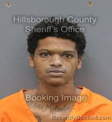 Mugshot of Jeffrey Malcolm Jr Couzens booked in Hillsborough County, Florida on September 19, 2026