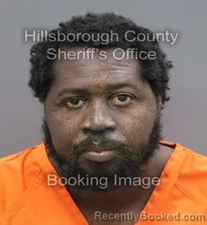 Mugshot of Dony Simpson Simplice booked in Hillsborough County, Florida on September 19, 2026