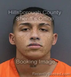 Mugshot of Julio Cesar Perez Navarro booked in Hillsborough County, Florida on September 19, 2026