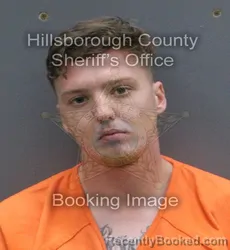 Mugshot of Stephen Lawrence Crilly booked in Hillsborough County, Florida on September 19, 2026