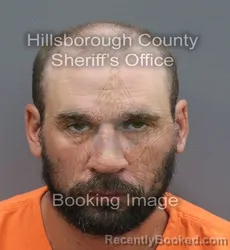 Mugshot of William Ryan Walsh booked in Hillsborough County, Florida on September 19, 2026