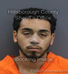 Mugshot of Jacob J Gonzalez booked in Hillsborough County, Florida on September 19, 2026