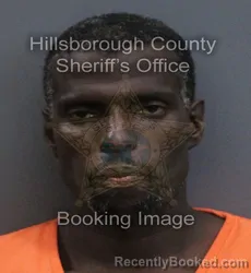 Mugshot of Peterson Rameau booked in Hillsborough County, Florida on September 19, 2026