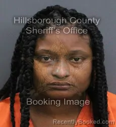 Mugshot of Sabrina Delores Reddick booked in Hillsborough County, Florida on September 19, 2026