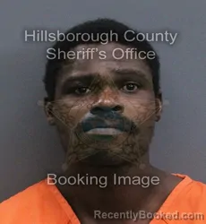 Mugshot of Christian Gaudinau booked in Hillsborough County, Florida on September 19, 2026