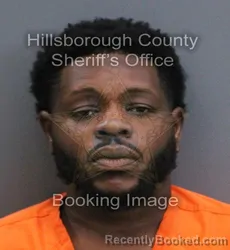 Mugshot of Robert David Brown booked in Hillsborough County, Florida on September 19, 2026
