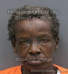 Mugshot of Scherell M Beasley booked in Hillsborough County, Florida on September 19, 2026