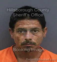 Mugshot of Steven Cody Bennett booked in Hillsborough County, Florida on September 19, 2026