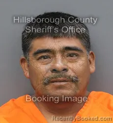 Mugshot of Severiano Ventura Jose booked in Hillsborough County, Florida on September 19, 2026