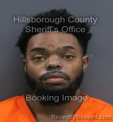 Mugshot of Brian Cokley booked in Hillsborough County, Florida on September 19, 2026