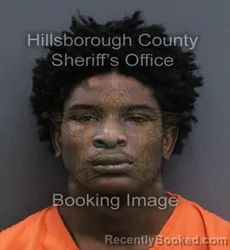 Mugshot of Corey Jasper Wallace booked in Hillsborough County, Florida on September 19, 2026