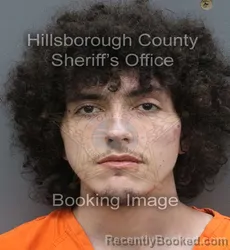 Mugshot of Nekolai Karl Seiple booked in Hillsborough County, Florida on September 19, 2026