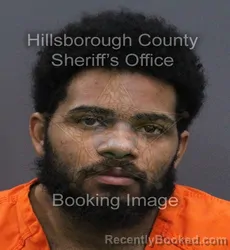 Mugshot of Christian Joseph Mclean booked in Hillsborough County, Florida on September 19, 2026