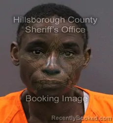Mugshot of Latasha Leborah Sims booked in Hillsborough County, Florida on September 19, 2026