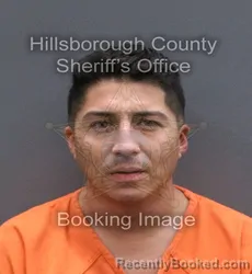 Mugshot of Brandon Jerry Phang booked in Hillsborough County, Florida on September 21, 2026
