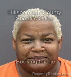 Mugshot of Lilian Sheppard-Martinez booked in Hillsborough County, Florida on September 21, 2026