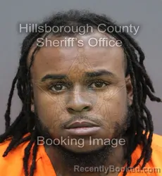 Mugshot of Rakeem Omari George booked in Hillsborough County, Florida on September 21, 2026