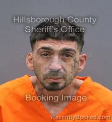 Mugshot of Aaron Paul Flores booked in Hillsborough County, Florida on September 21, 2026
