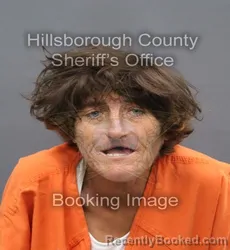 Mugshot of Pearl Louise Barco booked in Hillsborough County, Florida on September 21, 2026
