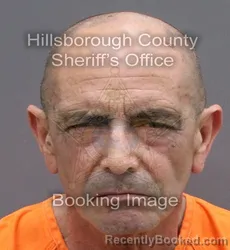 Mugshot of GELSON ACEVEDO CORREA