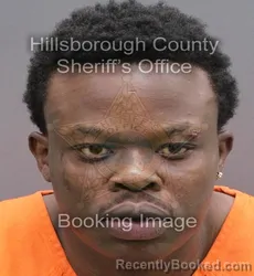 Mugshot of PETERSON MERCEGARD