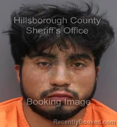 Mugshot of FIDEL HERNANDEZ PATISHTAN
