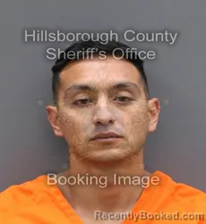 Mugshot of JOSEPH MICHAEL JR LAVIN