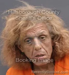 Mugshot of CARLOS RUBEN MENDOZA LASALLE