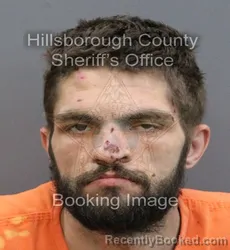 Mugshot of ROBERT E WRIGHT