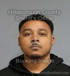 Mugshot of TREVOR GEORGE JR FERGUSON