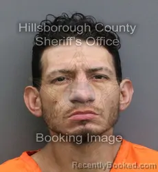 Booking photo from Hillsborough County, Florida