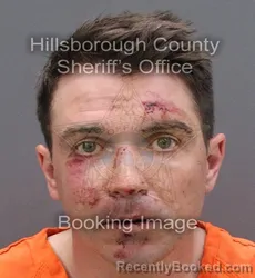 Mugshot of TYLER FRANCIS ALLAN MURPHY