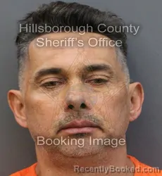 Mugshot of LUIZ ANTONIO RIBEIRO DA SILVA