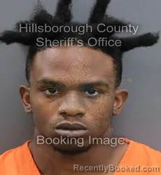 Mugshot of HERMAN DESMOND AVANT III TYSON