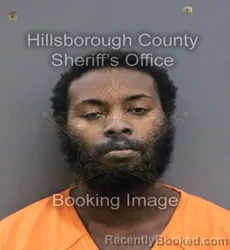 Mugshot of LC III WILKINS