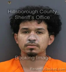Mugshot of Daniel De Leon booked in Hillsborough County, Florida on October 3, 2026