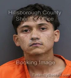 Mugshot of Salvador Gonzalez Noyola booked in Hillsborough County, Florida on October 3, 2026