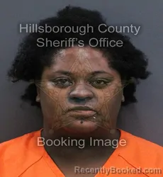 Mugshot of Briana Nicole Tyeis Pierce booked in Hillsborough County, Florida on October 3, 2026