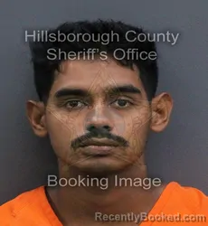 Mugshot of Justin Ramkalawan booked in Hillsborough County, Florida on October 3, 2026
