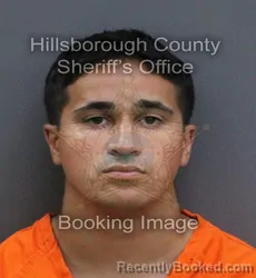 Mugshot of Dylan Breinlinger booked in Hillsborough County, Florida on October 3, 2026