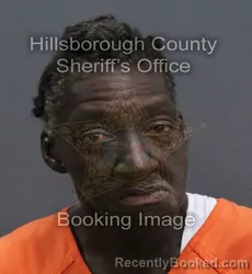 Mugshot of Cassandra Marie Neal booked in Hillsborough County, Florida on October 3, 2026