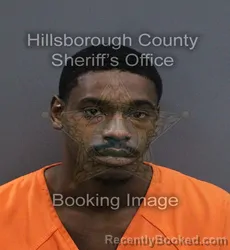 Mugshot of Javin Bradford booked in Hillsborough County, Florida on October 5, 2026
