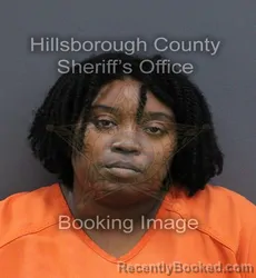Mugshot of Brianna Teliah Tillman booked in Hillsborough County, Florida on October 5, 2026