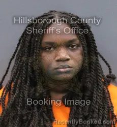 Mugshot of Patricia May Brown booked in Hillsborough County, Florida on October 5, 2026