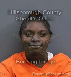 Mugshot of Destiny La'Nice Fields booked in Hillsborough County, Florida on October 5, 2026